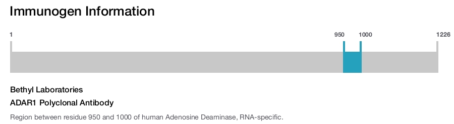 ADAR1 Polyclonal Antibody