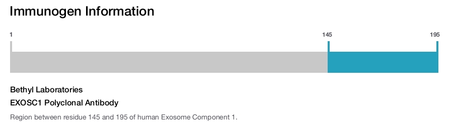 EXOSC1 Polyclonal Antibody