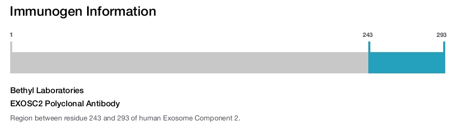 EXOSC2 Polyclonal Antibody