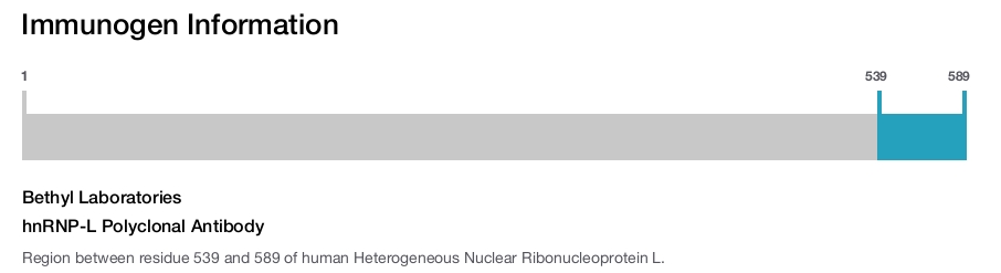 hnRNP-L Polyclonal Antibody