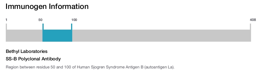 SS-B Polyclonal Antibody