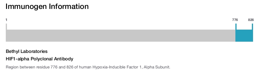 HIF1-alpha Polyclonal Antibody