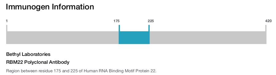RBM22 Polyclonal Antibody