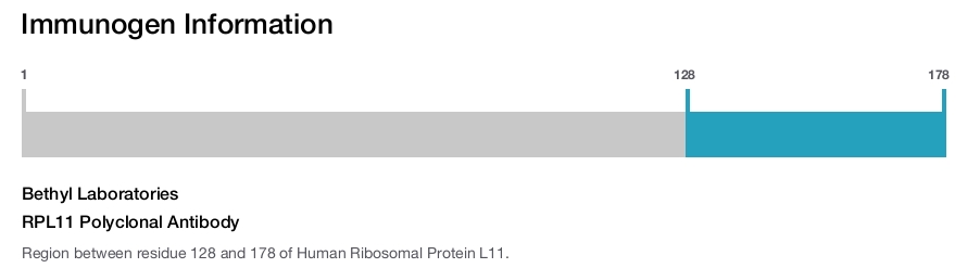 RPL11 Polyclonal Antibody