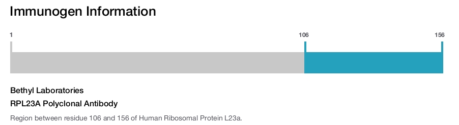 RPL23A Polyclonal Antibody