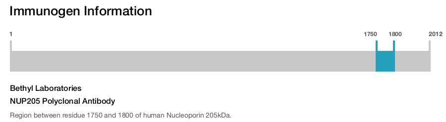NUP205 Polyclonal Antibody