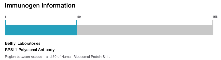 RPS11 Polyclonal Antibody