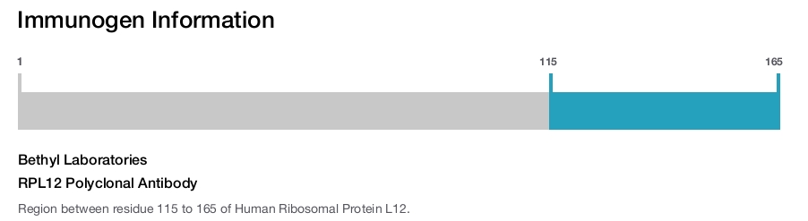 RPL12 Polyclonal Antibody