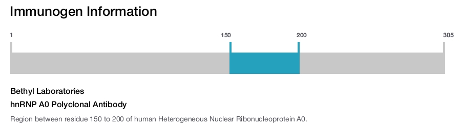 hnRNP A0 Polyclonal Antibody