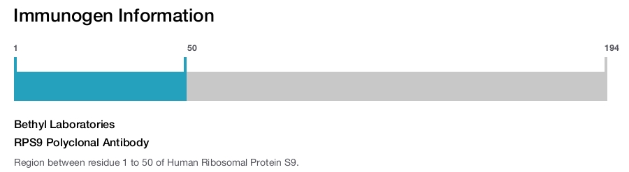 RPS9 Polyclonal Antibody