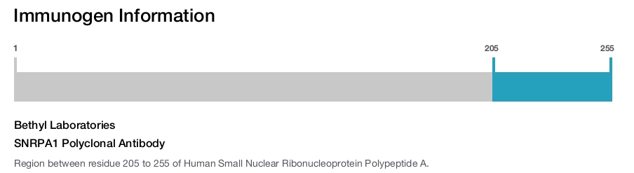 SNRPA1 Polyclonal Antibody