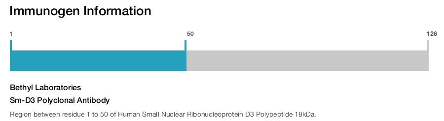 Sm-D3 Polyclonal Antibody