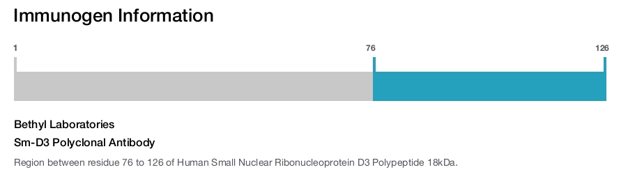 Sm-D3 Polyclonal Antibody
