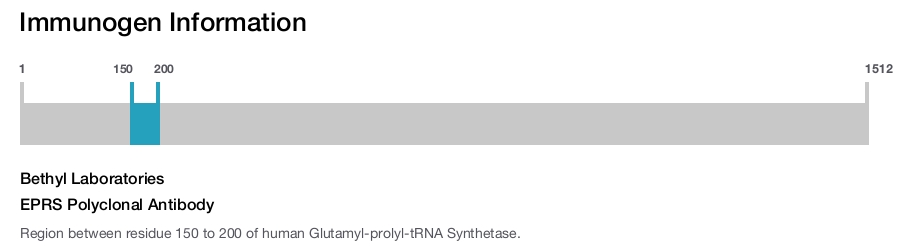 EPRS Polyclonal Antibody