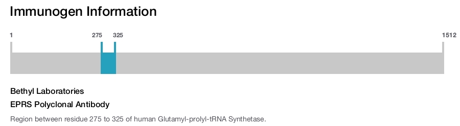 EPRS Polyclonal Antibody