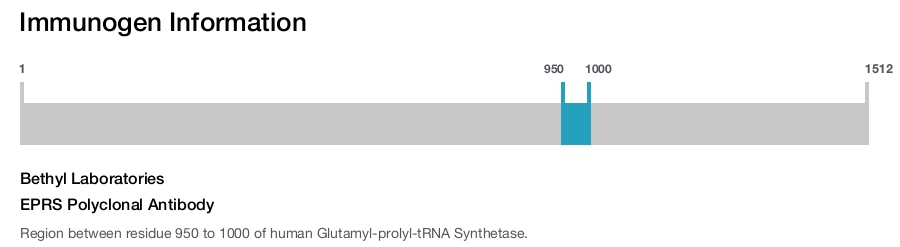 EPRS Polyclonal Antibody