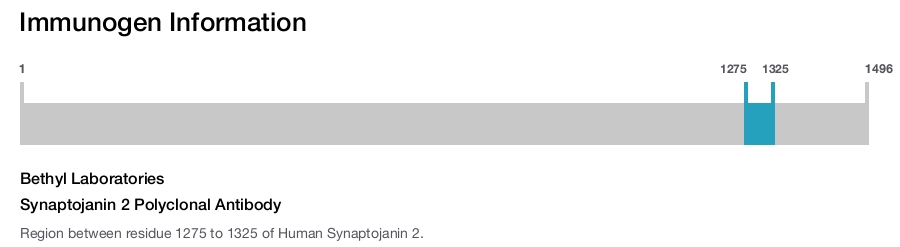 Synaptojanin 2 Polyclonal Antibody