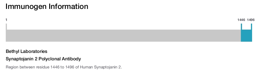 Synaptojanin 2 Polyclonal Antibody