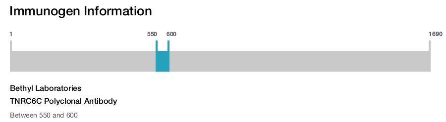 TNRC6C Polyclonal Antibody