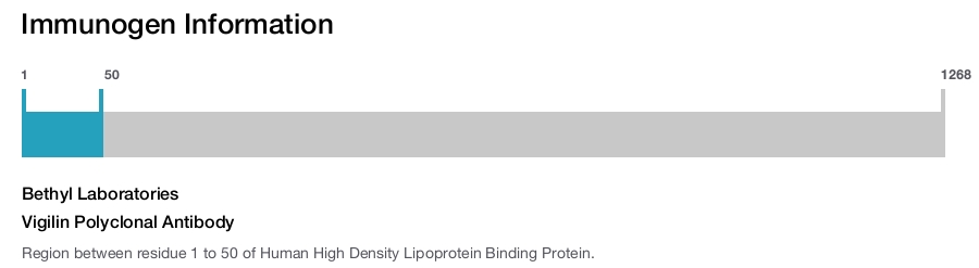 Vigilin Polyclonal Antibody