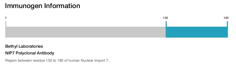 NIP7 Polyclonal Antibody