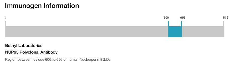 NUP93 Polyclonal Antibody