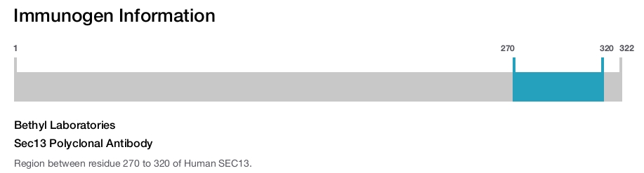 Sec13 Polyclonal Antibody