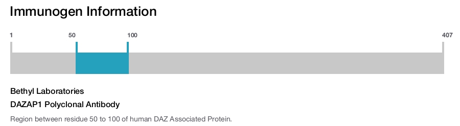 DAZAP1 Polyclonal Antibody
