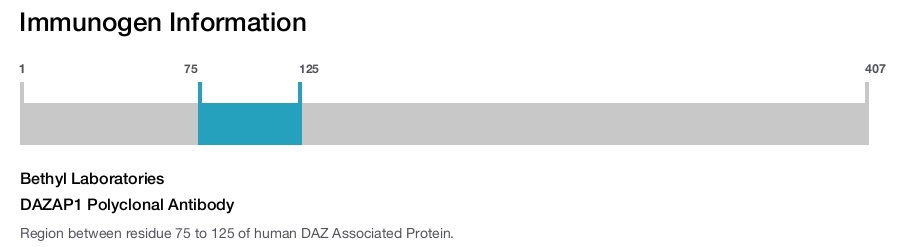 DAZAP1 Polyclonal Antibody
