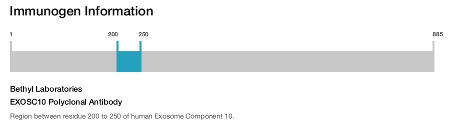 EXOSC10 Polyclonal Antibody