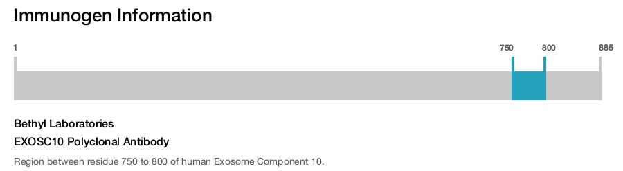 EXOSC10 Polyclonal Antibody
