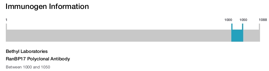 RanBP17 Polyclonal Antibody