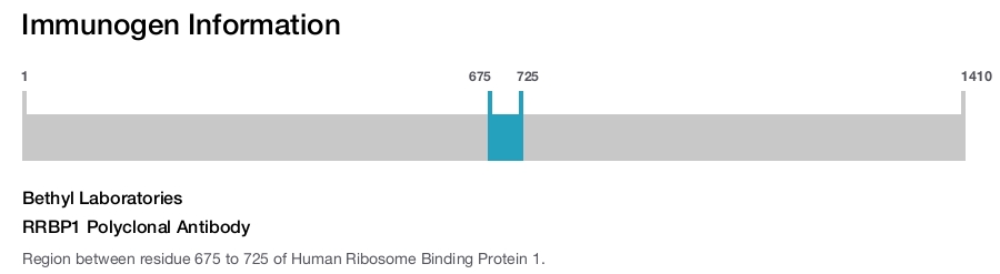 RRBP1 Polyclonal Antibody