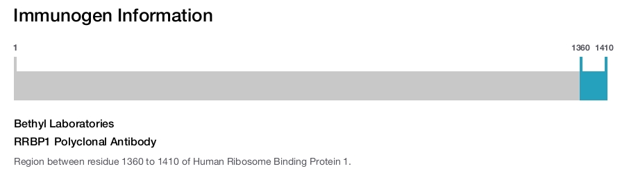 RRBP1 Polyclonal Antibody
