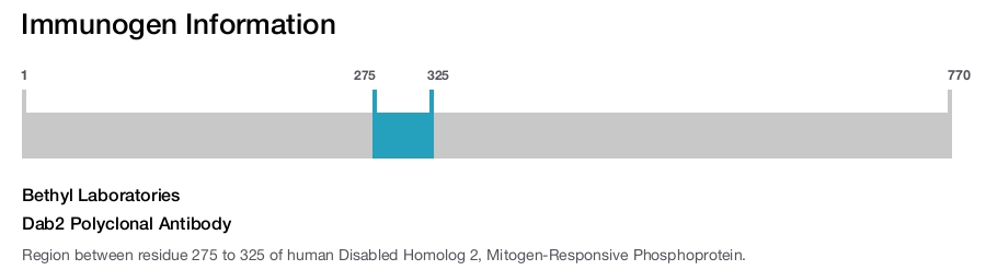Dab2 Polyclonal Antibody
