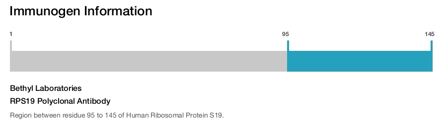 RPS19 Polyclonal Antibody
