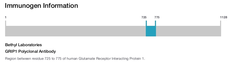 GRIP1 Polyclonal Antibody