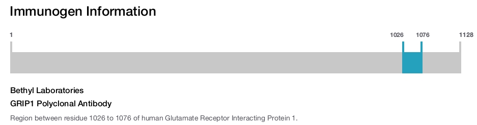 GRIP1 Polyclonal Antibody