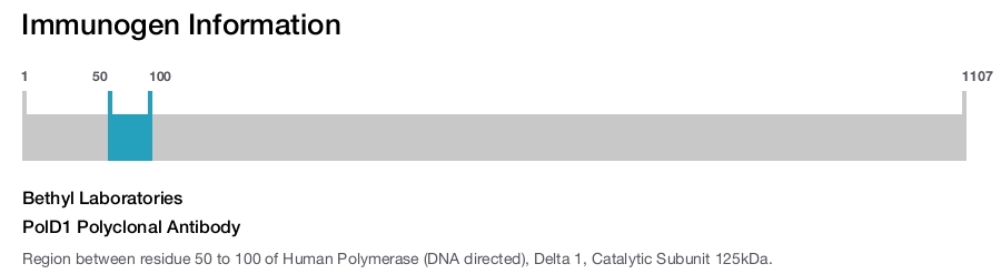 PolD1 Polyclonal Antibody