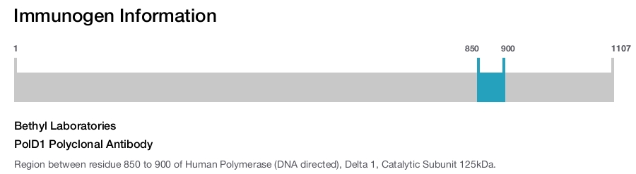 PolD1 Polyclonal Antibody