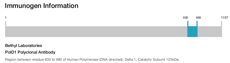 PolD1 Polyclonal Antibody