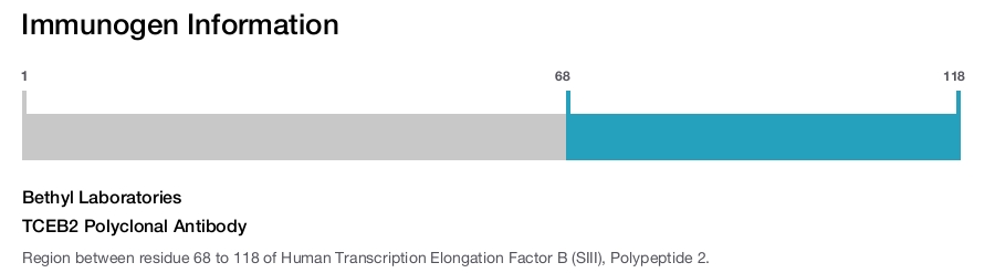 TCEB2 Polyclonal Antibody