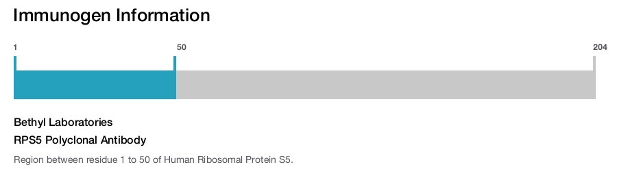 RPS5 Polyclonal Antibody