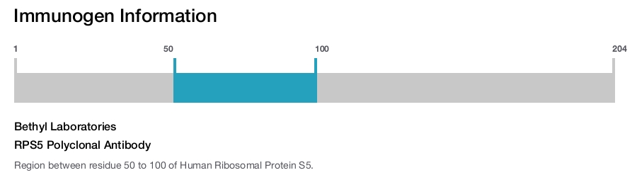 RPS5 Polyclonal Antibody