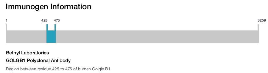 GOLGB1 Polyclonal Antibody