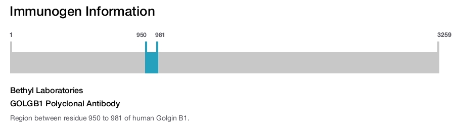 GOLGB1 Polyclonal Antibody