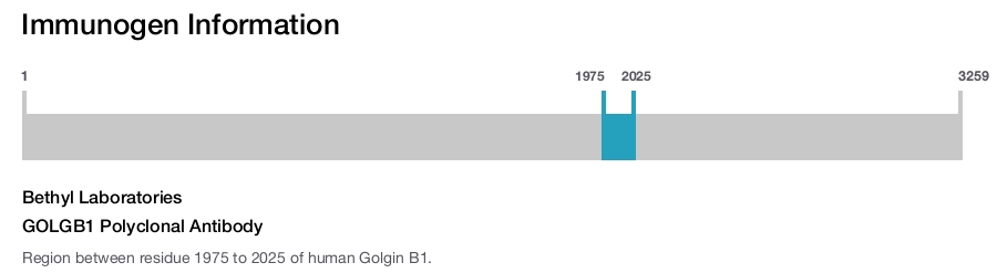 GOLGB1 Polyclonal Antibody