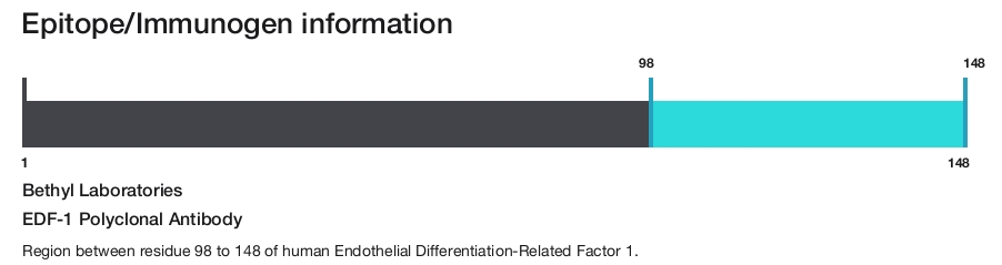 EDF-1 Polyclonal Antibody