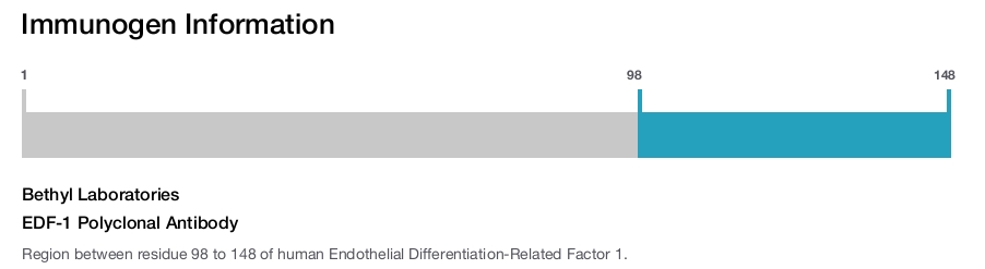 EDF-1 Polyclonal Antibody