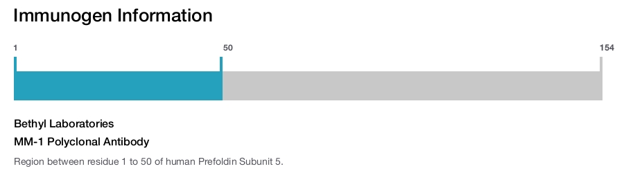 MM-1 Polyclonal Antibody